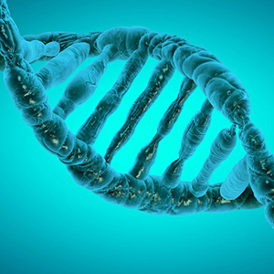 DNA helix